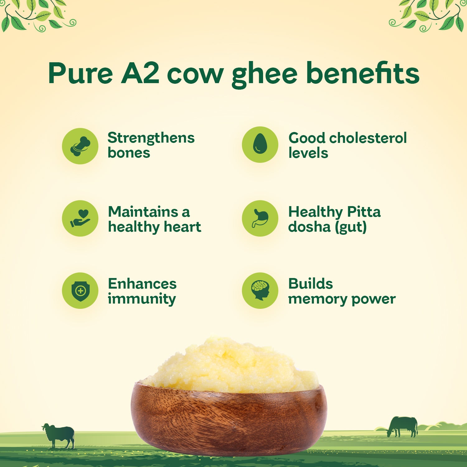 Desi Gir Cow Bilona A2 Ghee | Natural & Organic | GMO Free | Glass Jar | Lab Certified